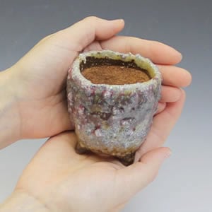 ����ȭ��������ȭ��ȡ����Ĺ��ͺ���ھƤ�����ȭ���ڰ��ʺ��ȭ��[sa-0280]
