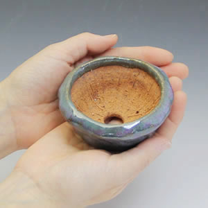 ����ȭ��������ȭ��ȡ����Ĺ��ͺ���ھƤ�����ȭ���ڰ��ʺ��ȭ��[sa-0283]