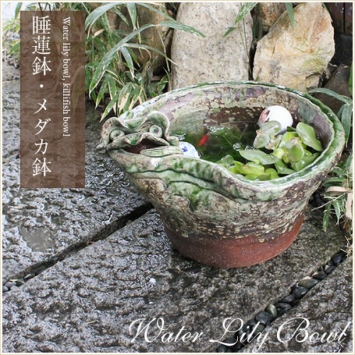 ǱƸդ()ȭھơȭȭˤsu-0122