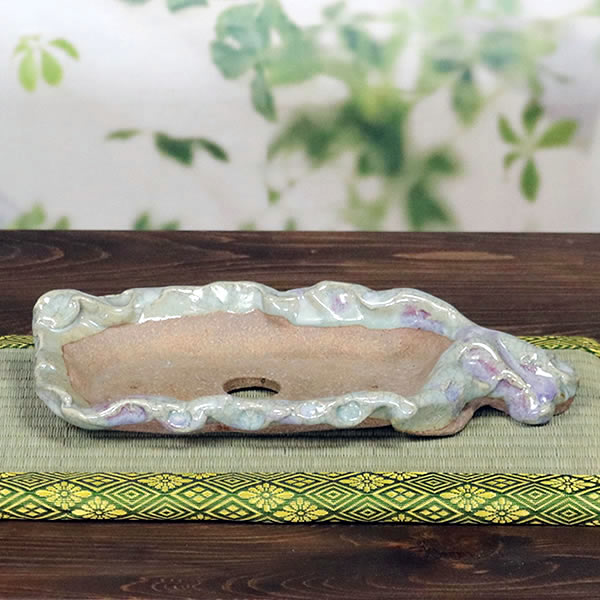 ����ȭ��������ȭ��ȡ����Ĺ��ͺ���ھƤ�����ȭ ��Ť��껳��ȭ ��� ȭ ¿����ʪ ���ܥƥ�ȭ ¿�� �ڰ��ʺ��ȭ�� [sa-0317]