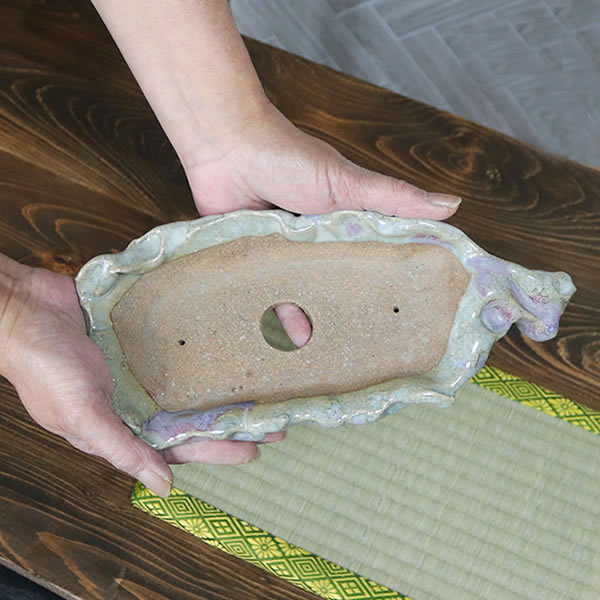 ����ȭ��������ȭ��ȡ����Ĺ��ͺ���ھƤ�����ȭ ��Ť��껳��ȭ ��� ȭ ¿����ʪ ���ܥƥ�ȭ ¿�� �ڰ��ʺ��ȭ�� [sa-0317]