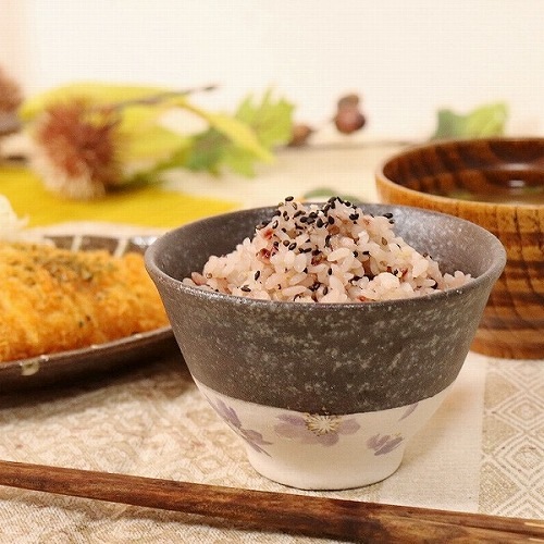 信楽焼 紫桜飯碗 飯碗 茶碗