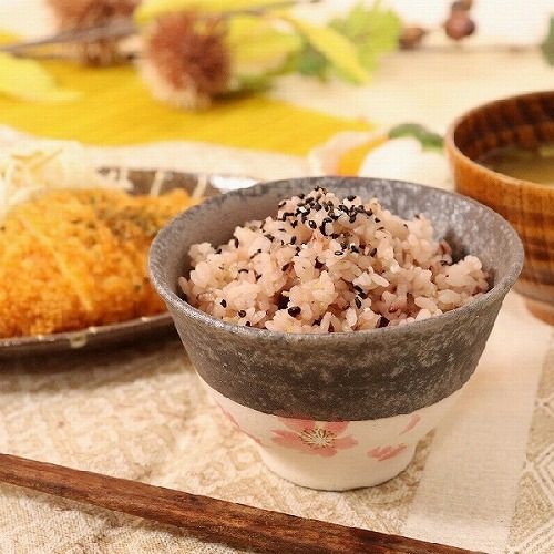信楽焼 桃桜飯碗 飯碗 茶碗