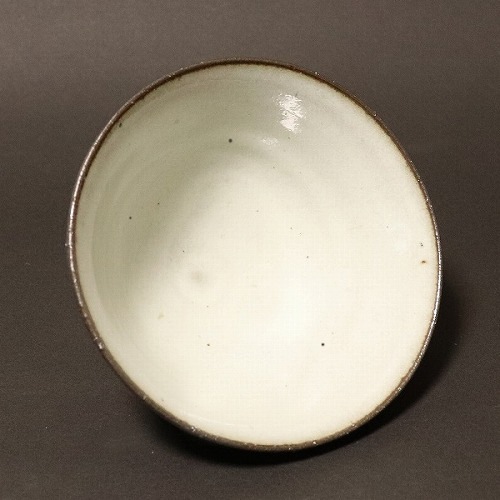 ���ھ� �Ķ����� w311-01