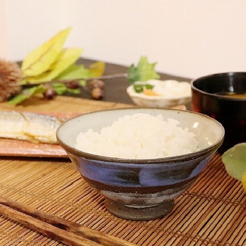 ���ھ� �Ķ����� w311-01