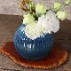 ھơ֥롼饹Ħ ha-0218-blue