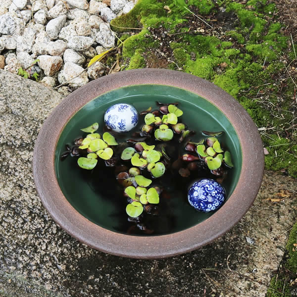 12ȩٻηȭھơȭȭˤ ϡȭȭsu-0195