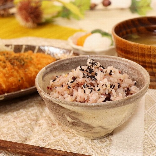 信楽焼 雲海 飯碗 茶碗