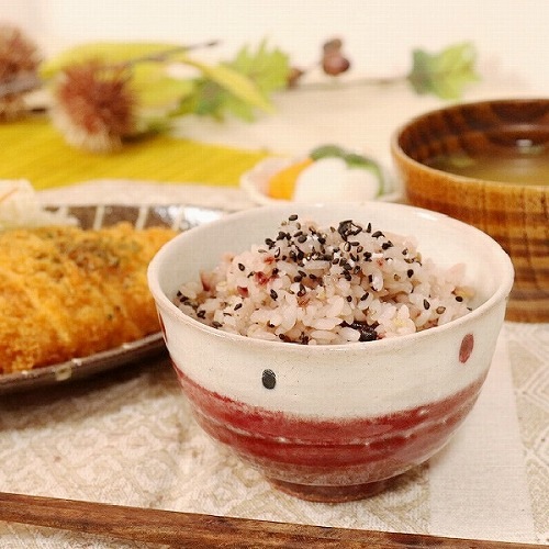 信楽焼 赤福 飯碗 茶碗