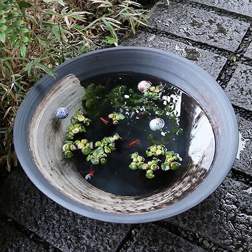 30ϥȭھơȭȭˤsu-0200