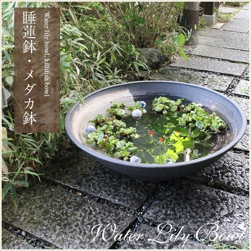 30ϥȭھơȭȭˤsu-0200