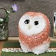 ���ھƤ��դ���������֤դ�����(�ԥ󥯿�)��ƫ��ե�������ʪ��fu-0105��
