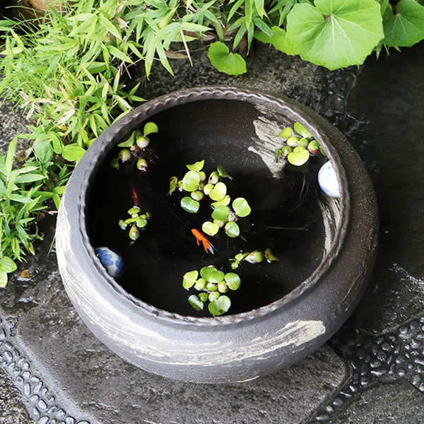 15Ϥܿȭھơȭȭˤᡡƫȭȭsu-0178