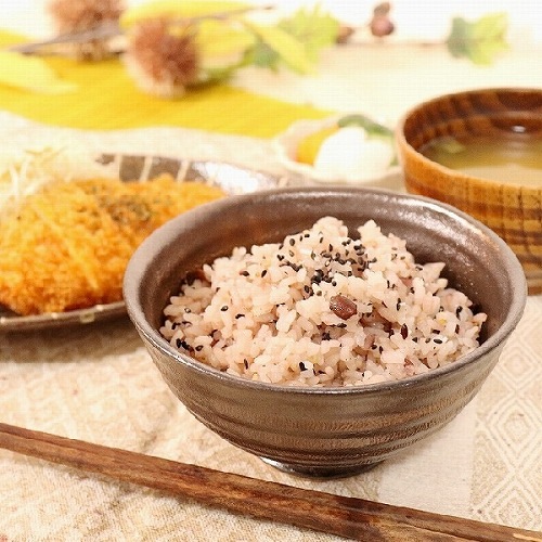 信楽焼 金彩 飯碗 茶碗