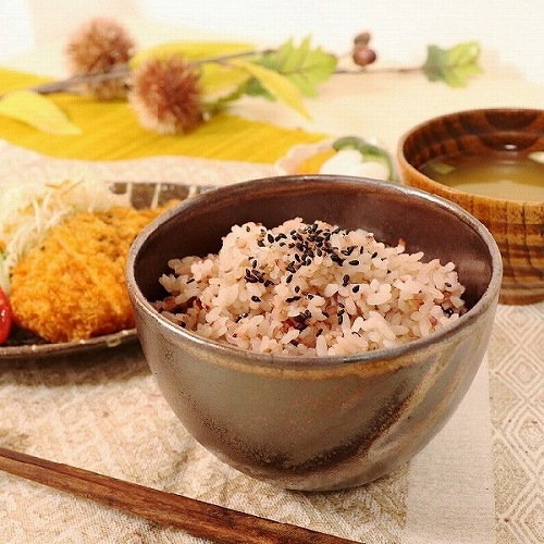 信楽焼 金剛 飯碗 茶碗