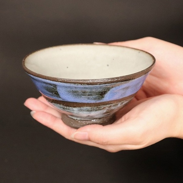 ���ھ� �Ķ���ͼ����������� w311-01_02