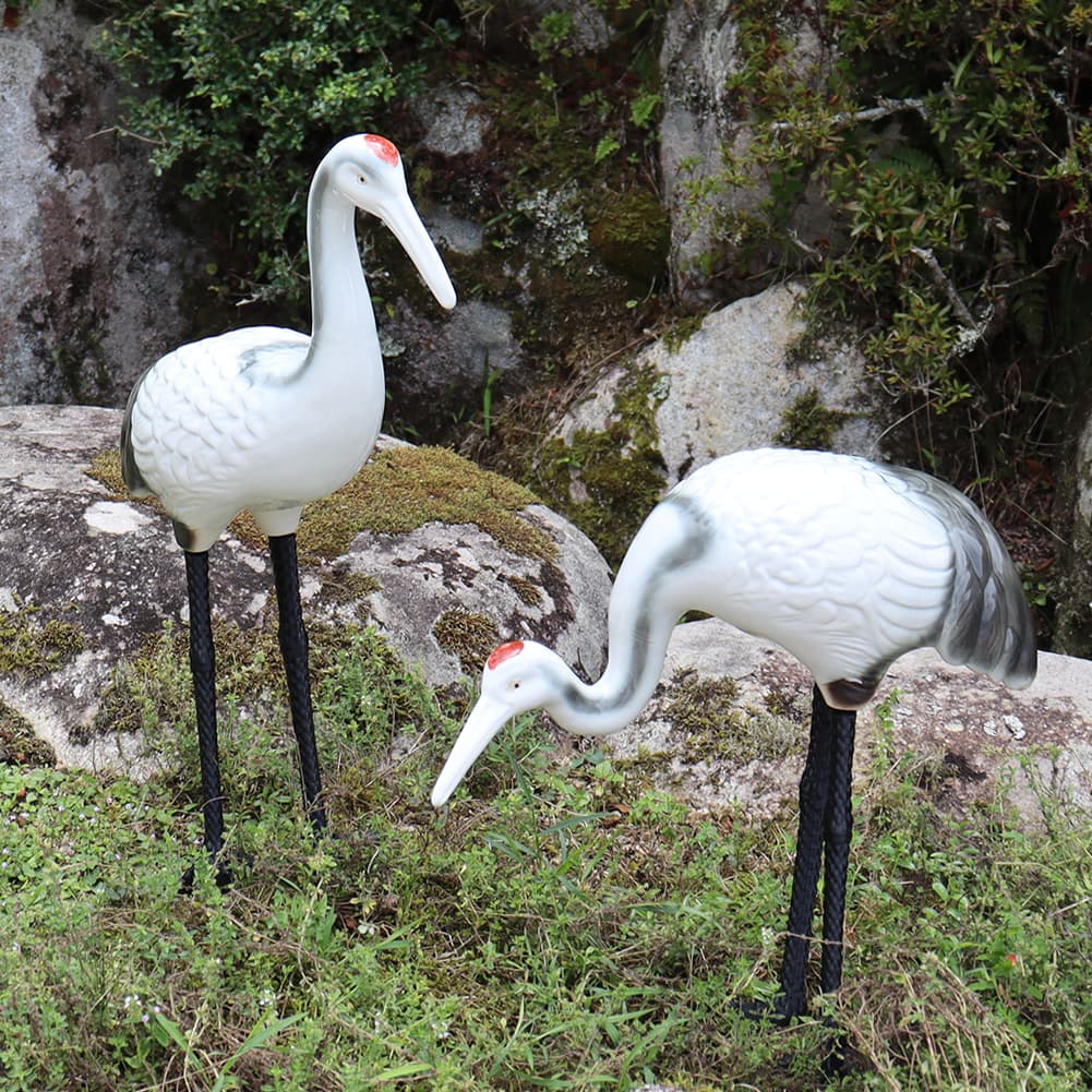  ʪ ƫ ھ Ĥ ޯ ʪ 1 ڥ 15Ĥʪ ok-0048