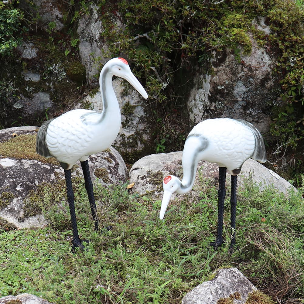  ʪ ƫ ھ Ĥ ޯ ʪ 1 ڥ 15Ĥʪ ok-0048