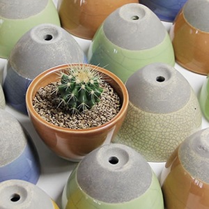 ���ھƥ��ϥݥåȡ�����ȭ�����ܥƥ�ȭ�ʤɤ����ߤ˹�碌�Ƥ��Ȥ�������������sa-2-1��