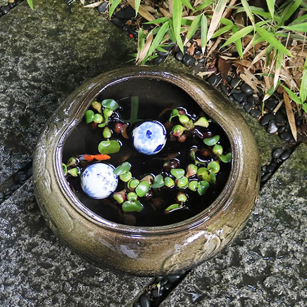 13ȩȭھơȭȭˤᡡƫȭȭsu-0237