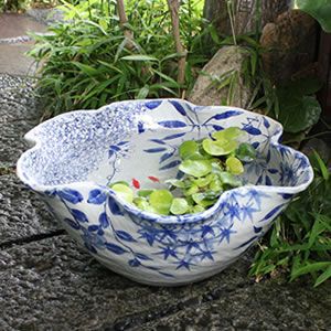 17��͵��֤Ҥͤ��ȭ�����ھơ����ȭ�������ȭ�ˤ������su-0146��