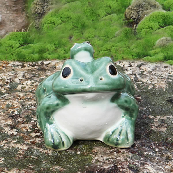 ���ھơ�4���ĳ����ﵯʪ�Υ����롡ƫ�狼���롡�����餭�Ƥ�������ʪ ��ka-0072��