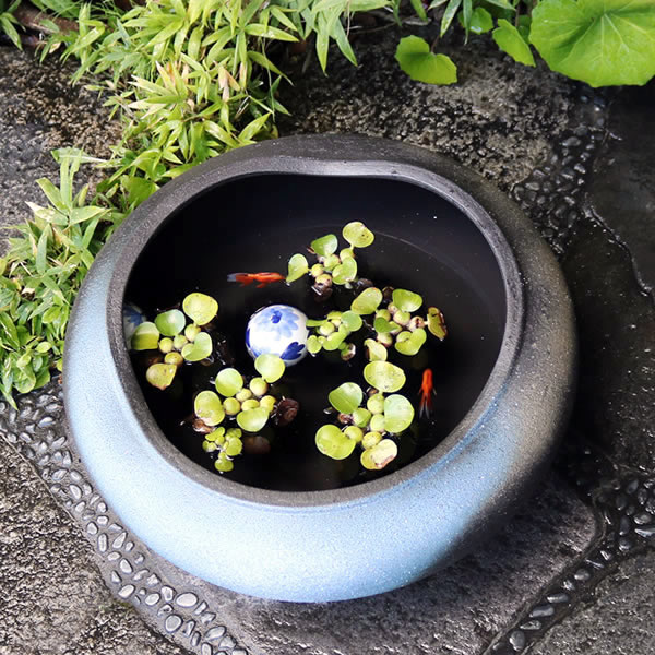 15ѿȭھơȭȭˤᡡƫȭȭsu-0181