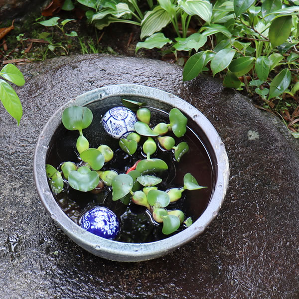 10ĥϥܿȭھơȭȭˤsu-0159