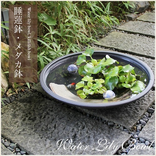 18ϥȭھơȭȭˤsu-0185