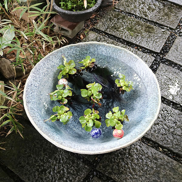 25Ҥͤȭ ھ ȭȭˤ ϡȭ ȭ ƫ 緿 ȭ su-0242