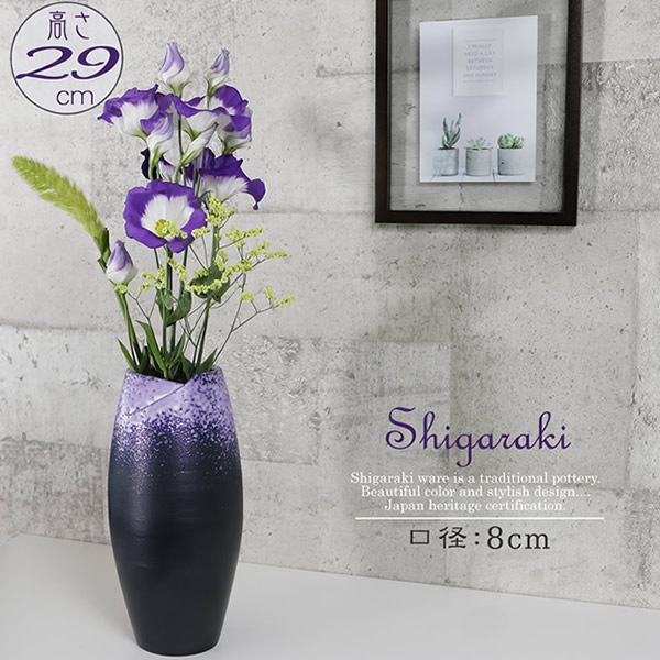 ���ھ� ����Ĺ���� �����ޤ� ƫ�� ha-9022