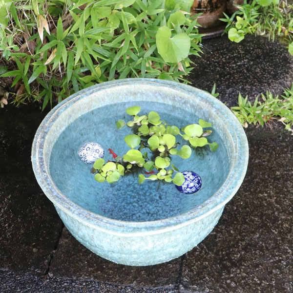 16ؿȭھơȭȭˤᡡȭsu-0287