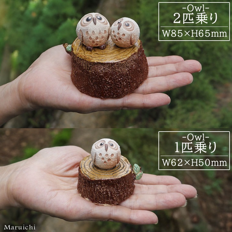 ���ھ� �դ����� ��ʪ ƫ�� ���ھ� ���� �ե����� ���� �İ��� ����ƥꥢ �Ŀ� �㿧 �Զ�ϫ �դ����� ���å� ��ʪ ���襤�� ����ƥꥢ ���� Ļ �ڤ���դ����� fu-0164