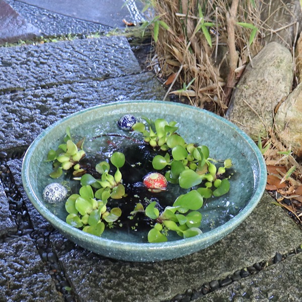 20���иſ���������ȭ�����ھơ����ȭ�������ȭ�ˤ������su-0190��