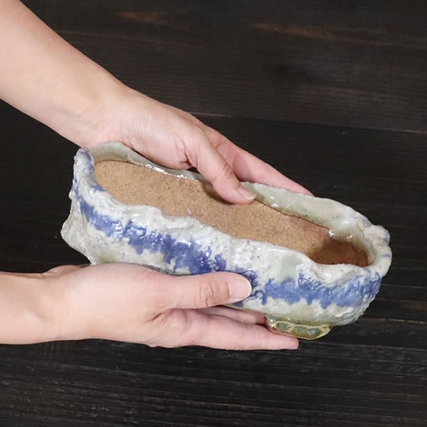 ����ȭ ������ȭ��ȡ����Ĺ��ͺ���ھƤ�����ȭ ��Ť��껳��ȭ ��� ȭ ¿����ʪ ���ܥƥ�ȭ ¿�� ������ʪ �ڰ��ʺ��ȭ�� [sa-0346��