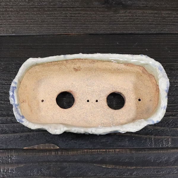 ����ȭ ������ȭ��ȡ����Ĺ��ͺ���ھƤ�����ȭ ��Ť��껳��ȭ ��� ȭ ¿����ʪ ���ܥƥ�ȭ ¿�� ������ʪ �ڰ��ʺ��ȭ�� [sa-0346��