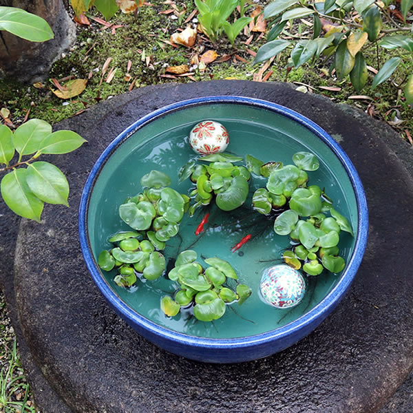 13ʥޥȭھơȭȭˤᡡƫ凉ȭȭȭsu-0252