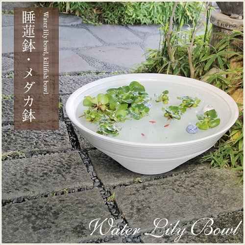 25ۥ磻ȥåȭھơȭȭˤsu-0136