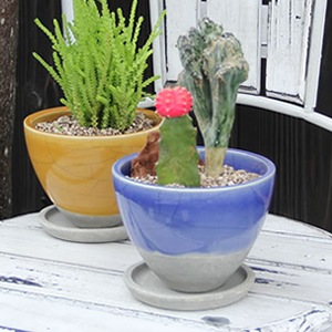 ���ھƥ��ϥݥåȡ�����ȭ�����ܥƥ�ȭ�ʤɤ����ߤ˹�碌�Ƥ��Ȥ�������������sa-2-1��