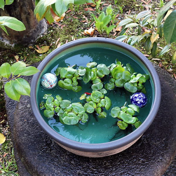 15Ϥܿȭھơȭȭˤᡡƫ凉ȭȭȭsu-0254