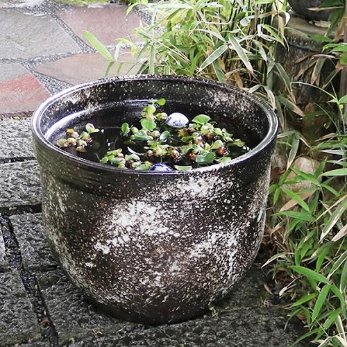 ����ȩ��ŷ�巿�緿��������ȭ�����ھơ����ȭ�������ȭ�ˤ����ᡡ�������ȭ�����祵��������su-0228��