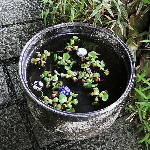 ����ȩ��ŷ�巿�緿��������ȭ�����ھơ����ȭ�������ȭ�ˤ����ᡡ�������ȭ�����祵��������su-0228��