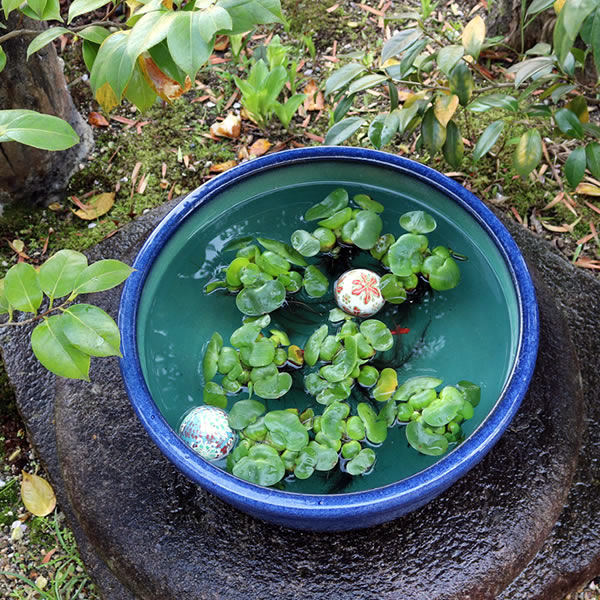 15ʥޥȭھơȭȭˤᡡƫ凉ȭȭȭsu-0255