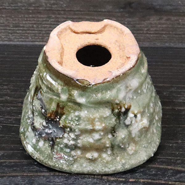 ����ȭ ������ȭ��ȡ����Ĺ��ͺ���ھƤ�����ȭ ��Ť��껳��ȭ ��� ȭ ¿����ʪ ���ܥƥ�ȭ ¿�� ������ʪ �ڰ��ʺ��ȭ�� [sa-0349��