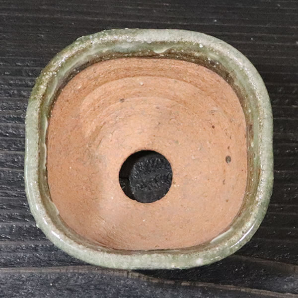 ����ȭ ������ȭ��ȡ����Ĺ��ͺ���ھƤ�����ȭ ��Ť��껳��ȭ ��� ȭ ¿����ʪ ���ܥƥ�ȭ ¿�� ������ʪ �ڰ��ʺ��ȭ�� [sa-0349��