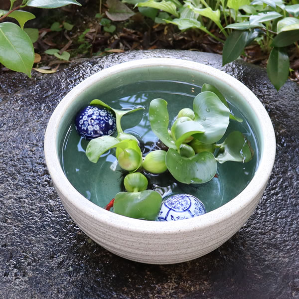 10򥫥߿ȭھơȭȭˤᡡƫ凉ȭȭȭsu-0138