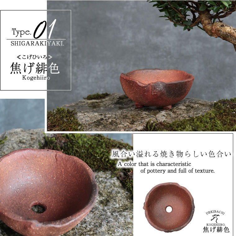 ���ھ� 3���������٤�­�դ�����ȭ sa-0336