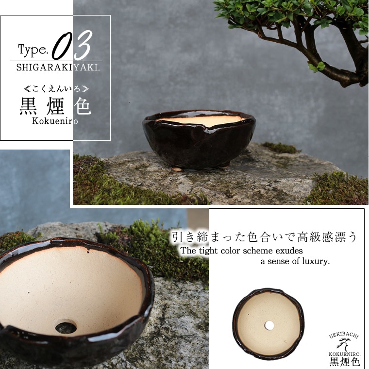 ���ھ� 3���������٤�­�դ�����ȭ sa-0336