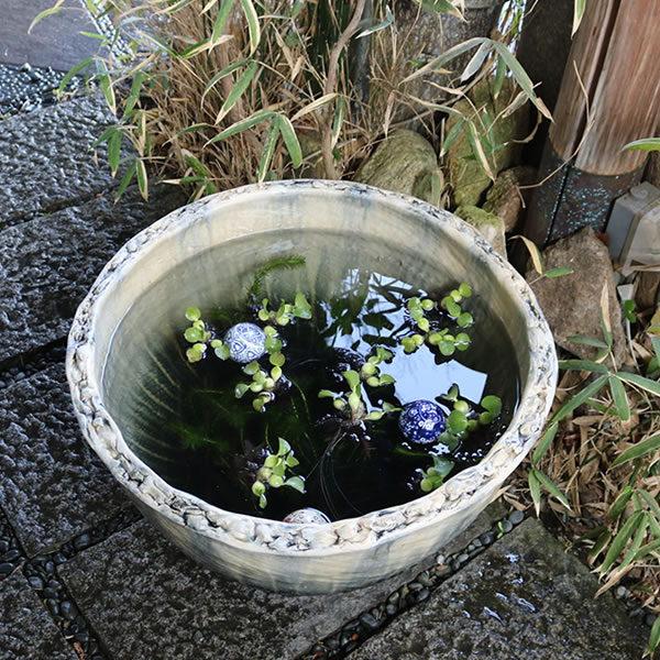 20ήȭھơȭȭˤ ϡȭ ȭsu-0169