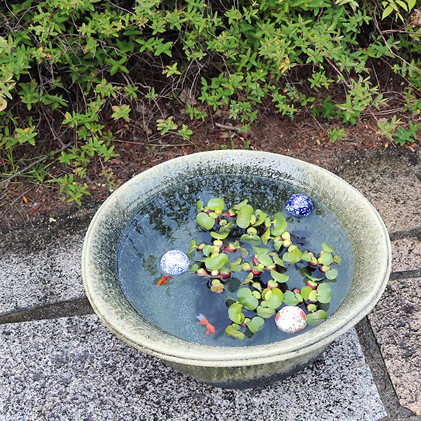 20Ҥͤȭھơȭȭˤ ϡȭ ȭȭƫ su-0245